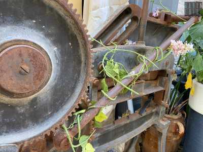 Gi�, perch� ad abbellire il tutto c'� una graziosa vegetazione che abbraccia e ingentilisce le varie componenti, rendendole quasi "scenografiche"
